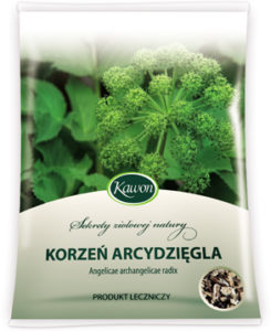 Korzeń arcydzięgla 50g KAWON