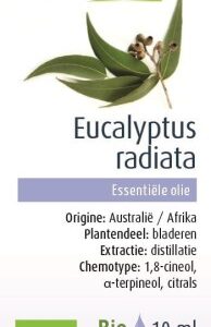 Olejek eteryczny Eukaliptus Australijski BIO 10 ml Physalis