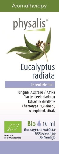 Olejek eteryczny Eukaliptus Australijski BIO 10 ml Physalis