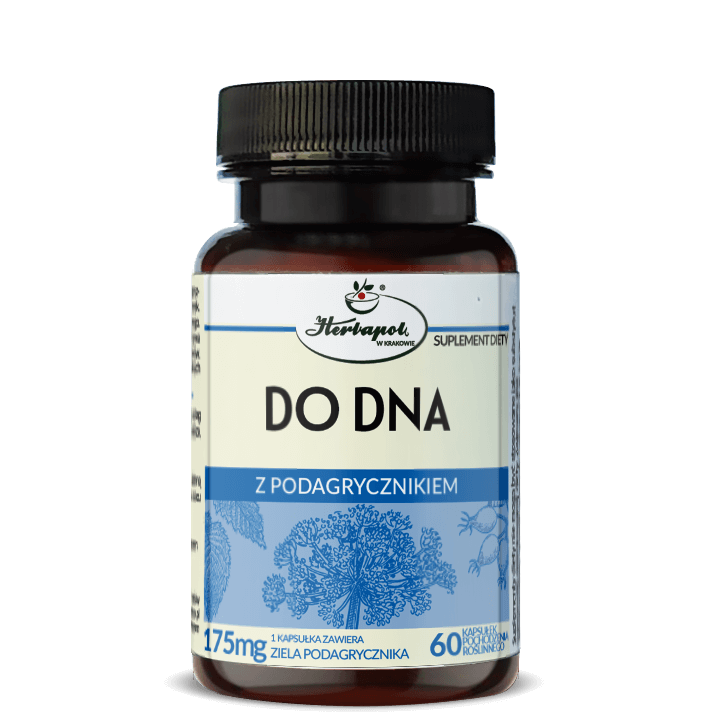 Do dna z podagrycznikiem 60 kaps.