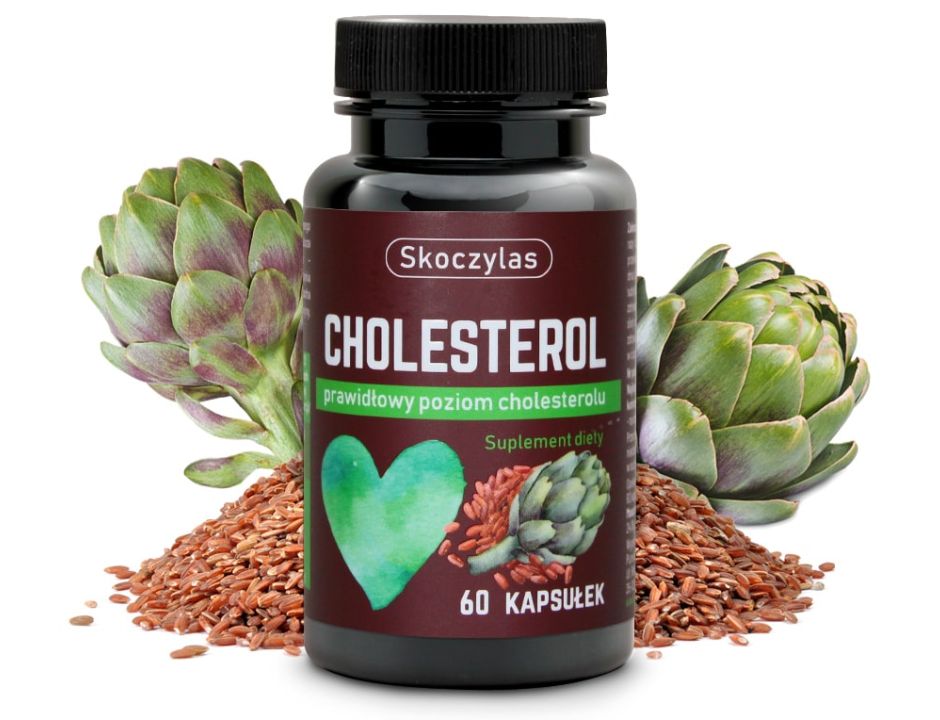 Skoczylas Cholesterol 60 kaps