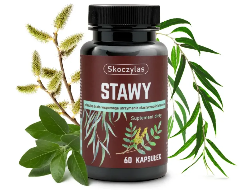 Skoczylas Stawy 60 kaps
