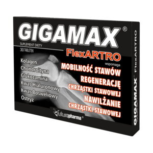 Gigamax flexArtro x 30 tabl.