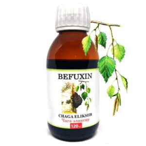 Czaga Befuxin Ekstrakt 1:5 czarnej huby brzozowej 120ml (Aram)