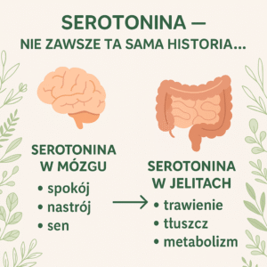 Read more about the article Serotonina – nie tylko hormon szczęścia